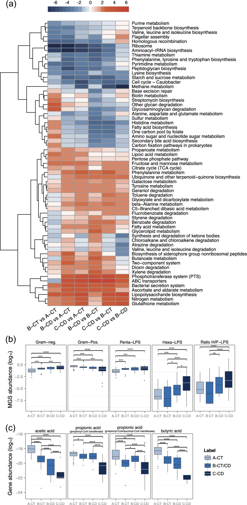 Figure 2: