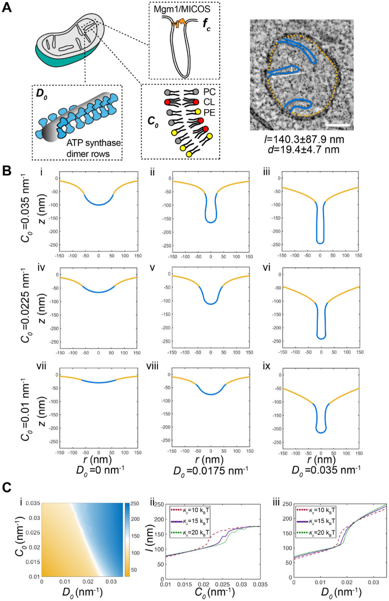 Figure 5: