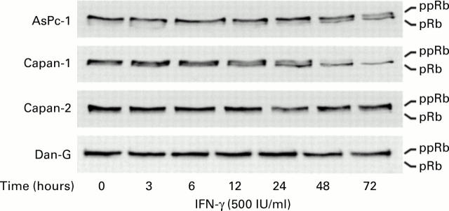 Figure 7  