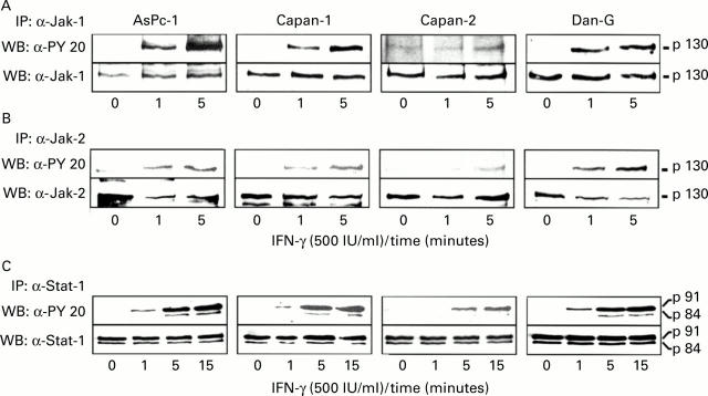 Figure 2  