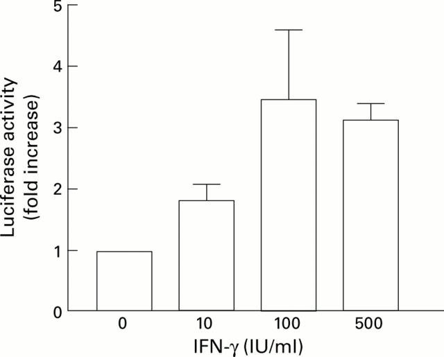 Figure 3  