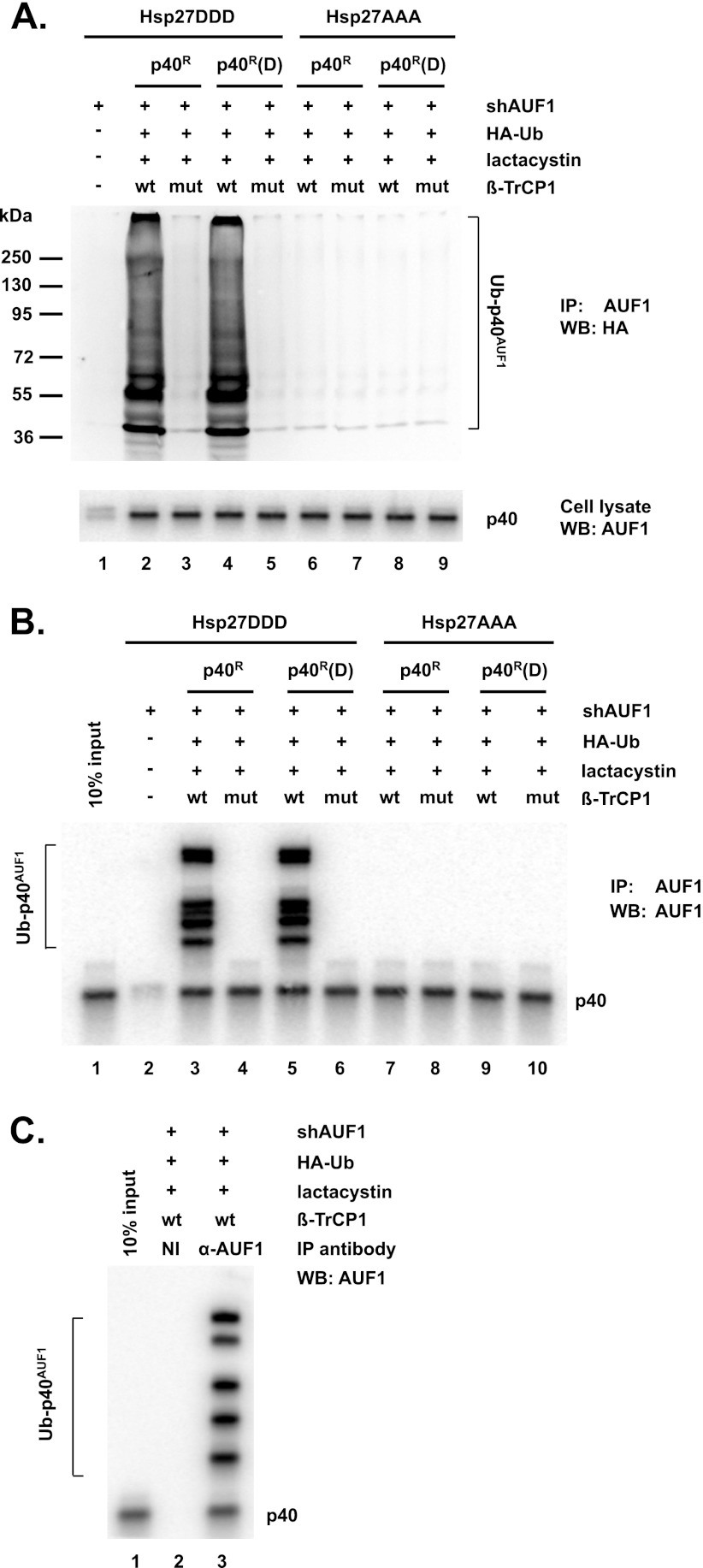 Fig 5