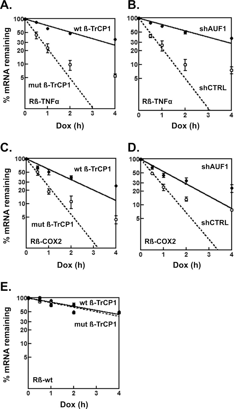 Fig 8