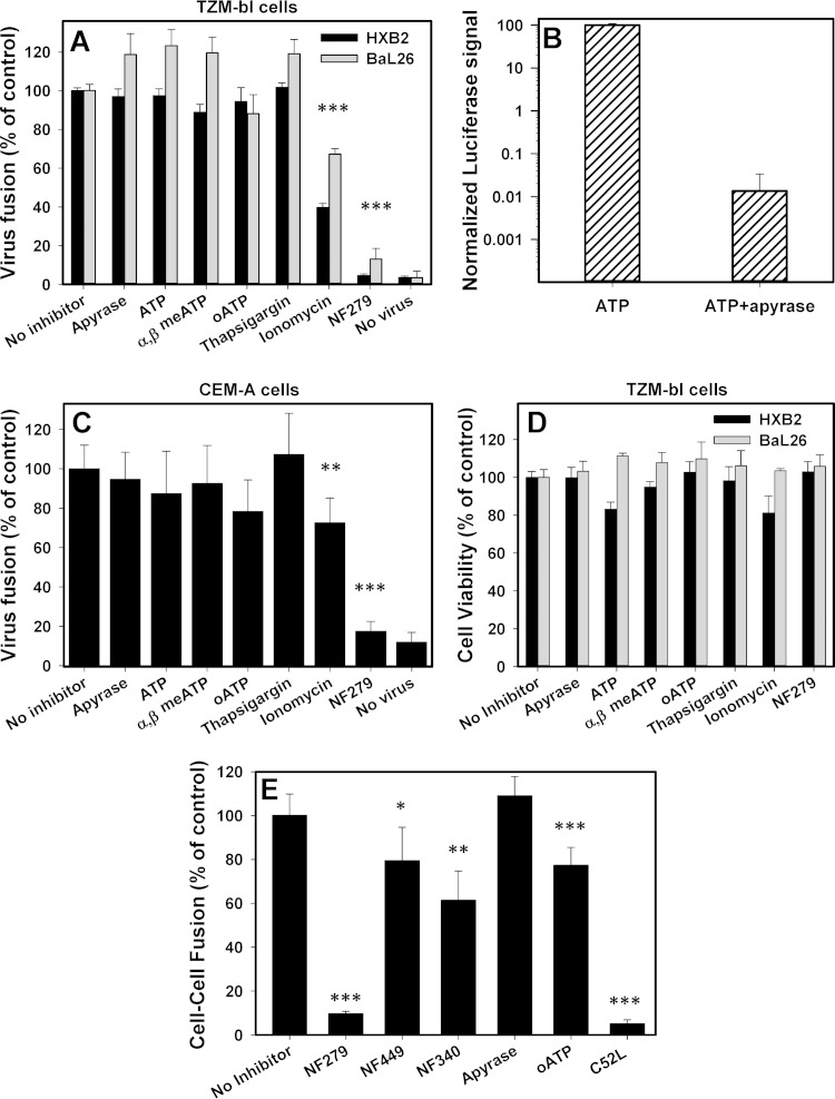 FIG 2