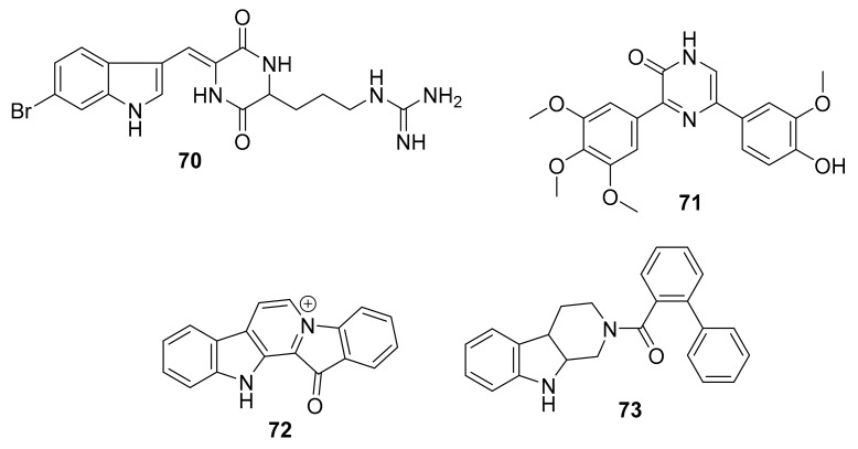 Figure 20