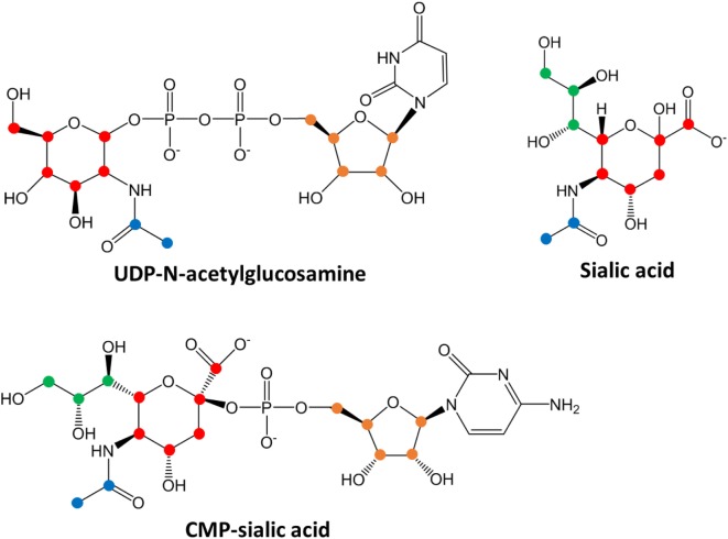 Figure 4