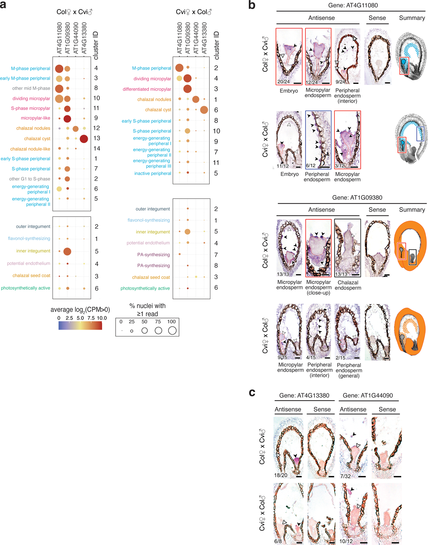 Extended Data Fig. 6