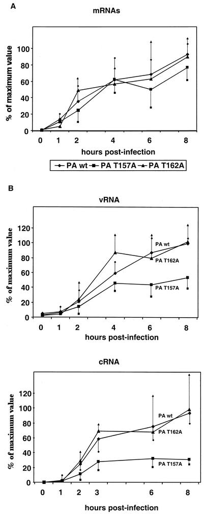 FIG. 4.