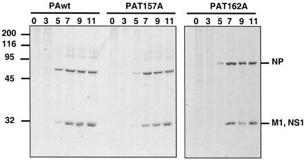 FIG. 3.