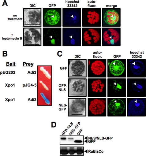 FIGURE 3.