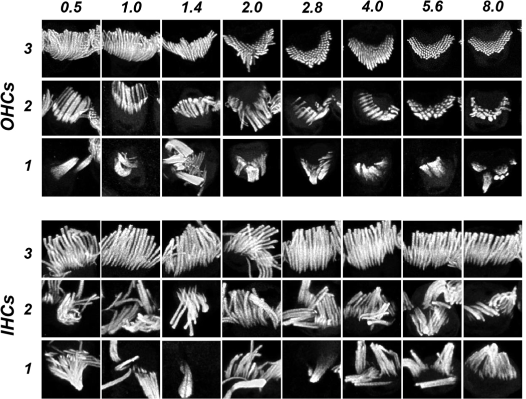 Figure 4: