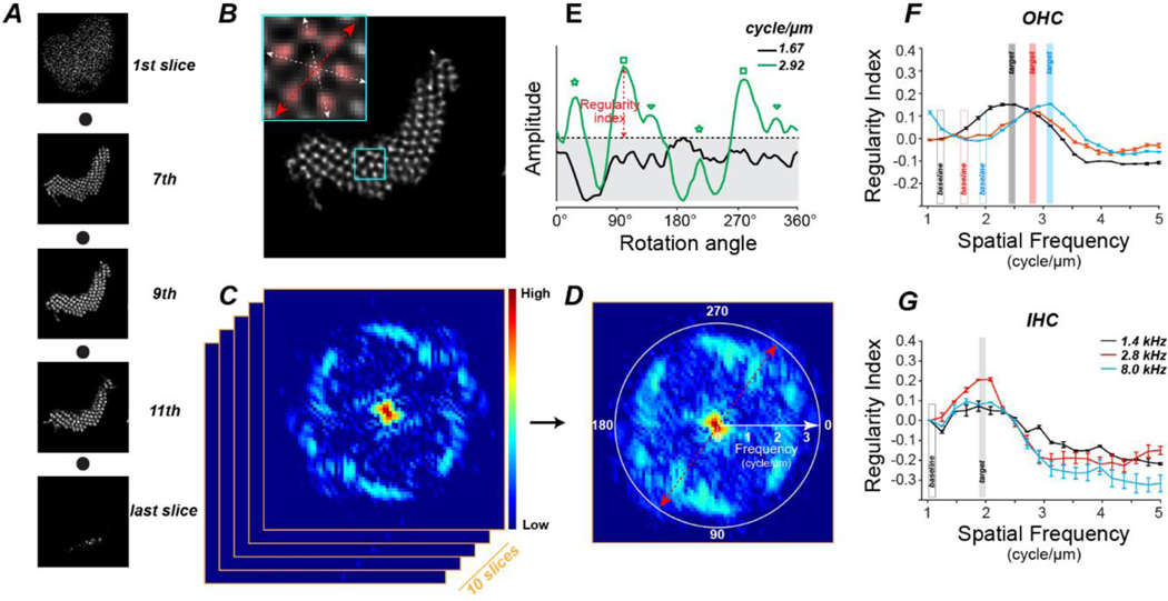 Figure 6: