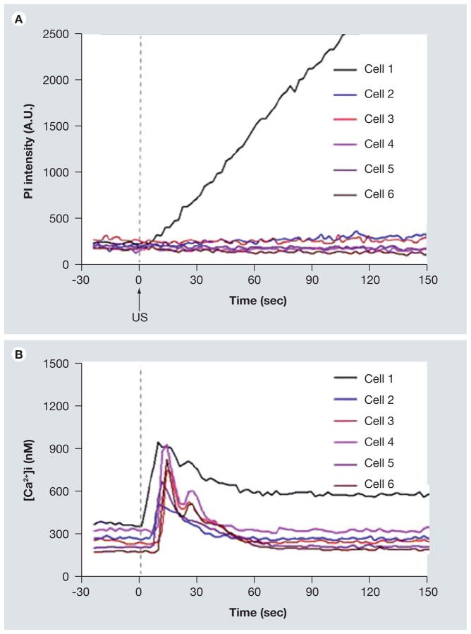 Figure 12