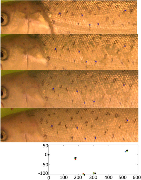Figure 11