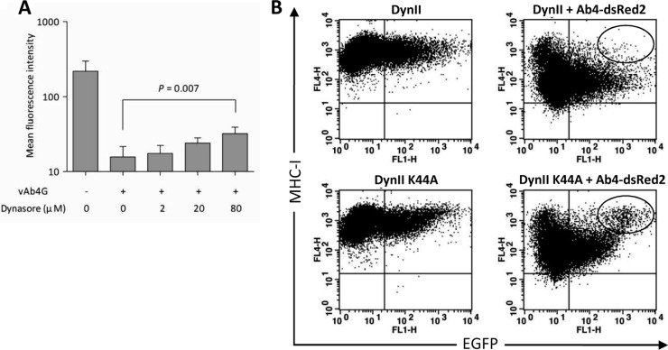 FIG 3