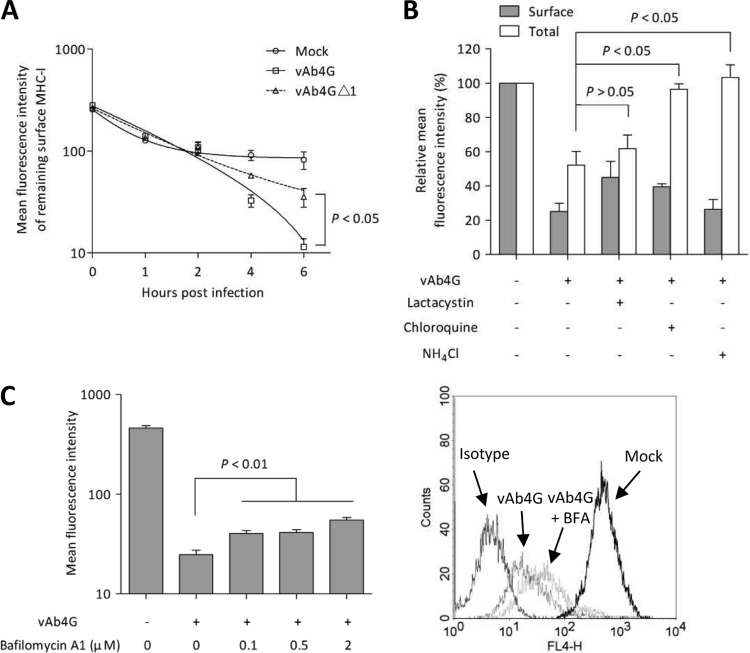 FIG 1