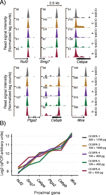 Figure 5