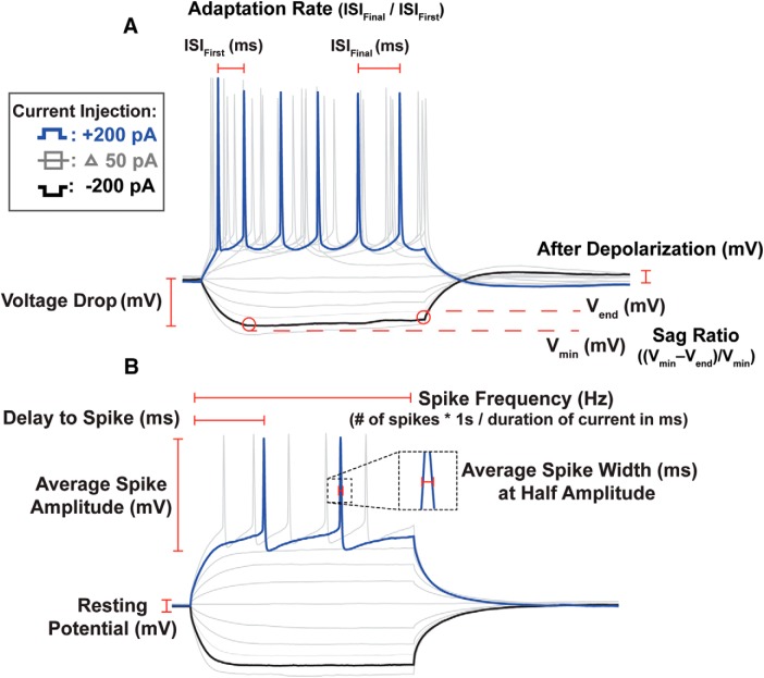 Figure 3.