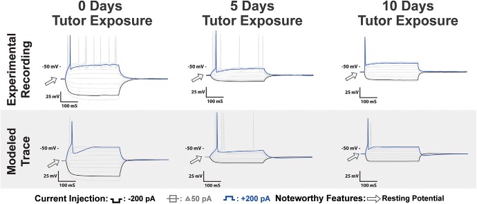 Figure 12.