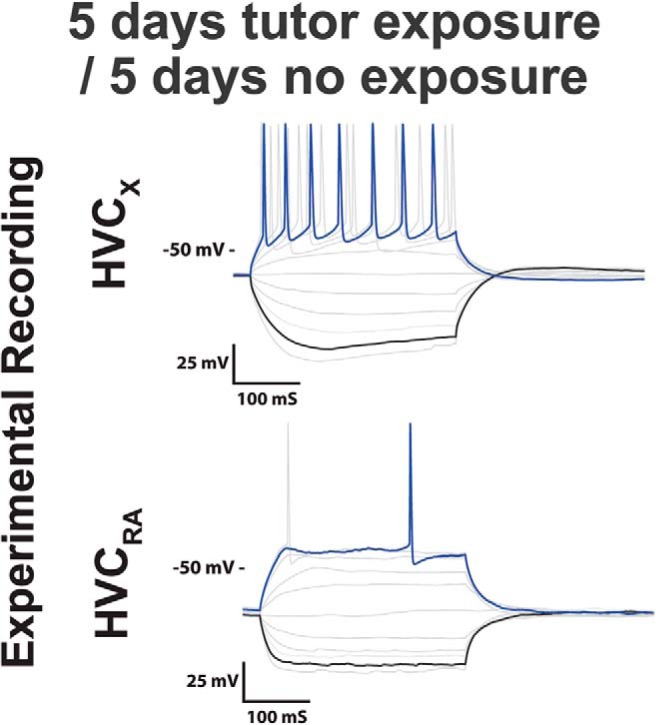 Figure 14.