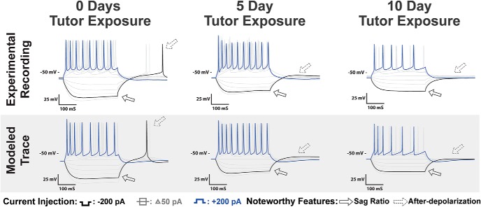 Figure 10.