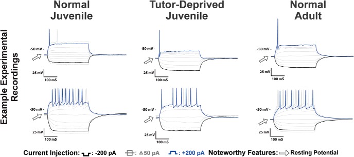 Figure 8.