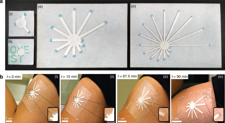 Fig. 3