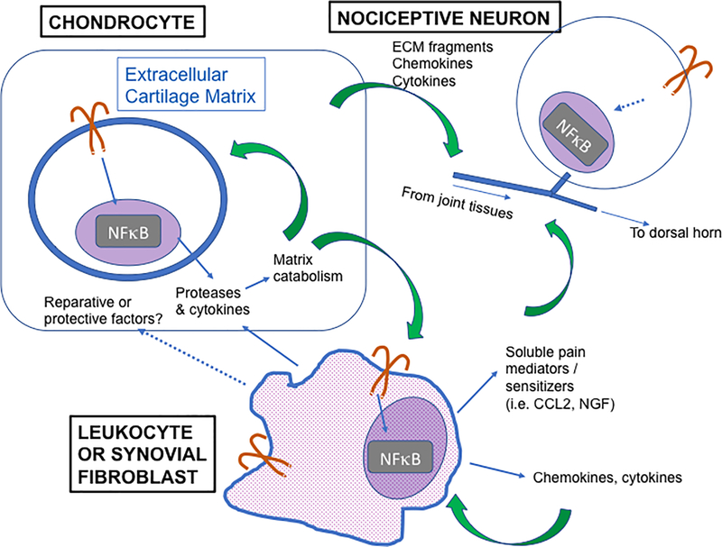 Figure 2: