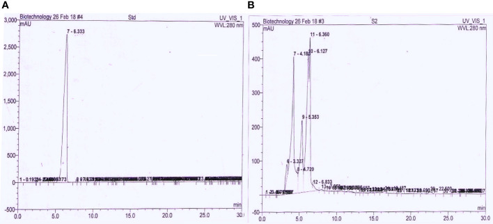 Figure 5