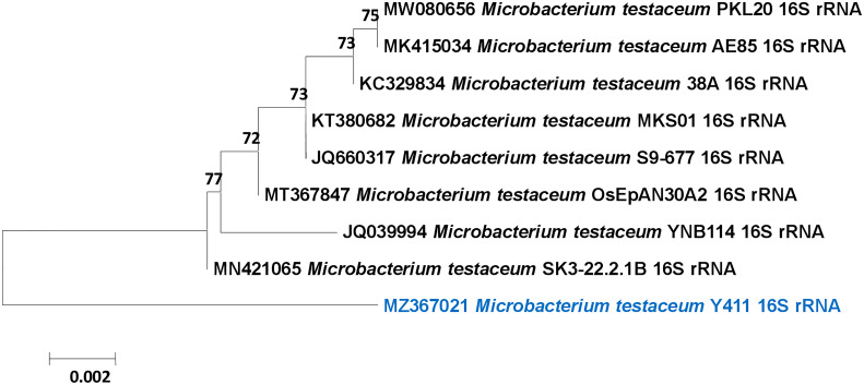 Figure 2