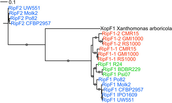 Figure 5