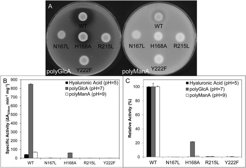 FIGURE 7.