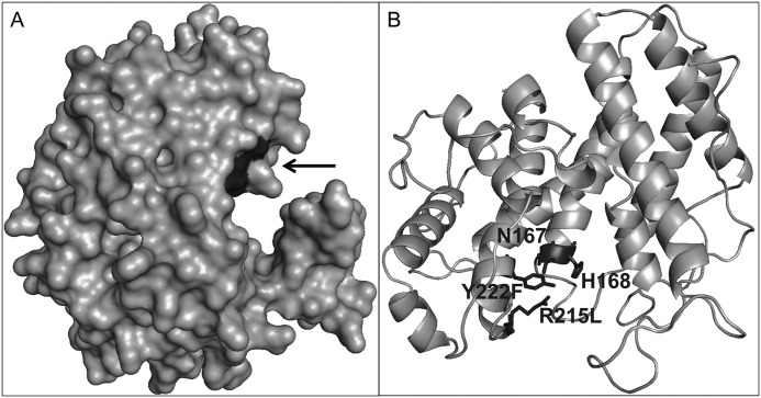 FIGURE 9.