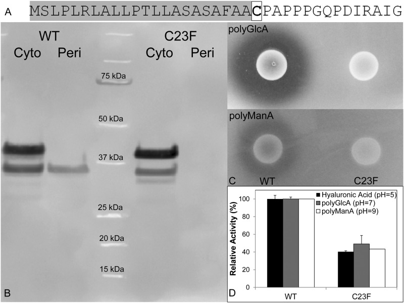 FIGURE 4.