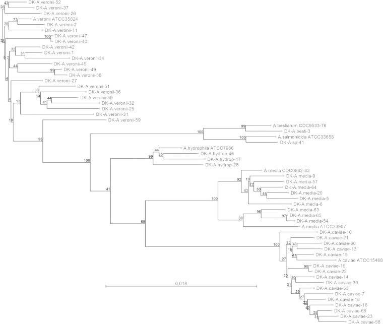 FIG 1