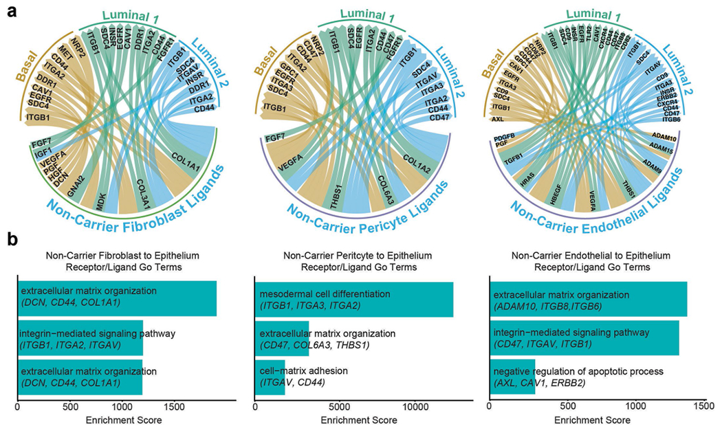 Extended Data Fig. 6 |