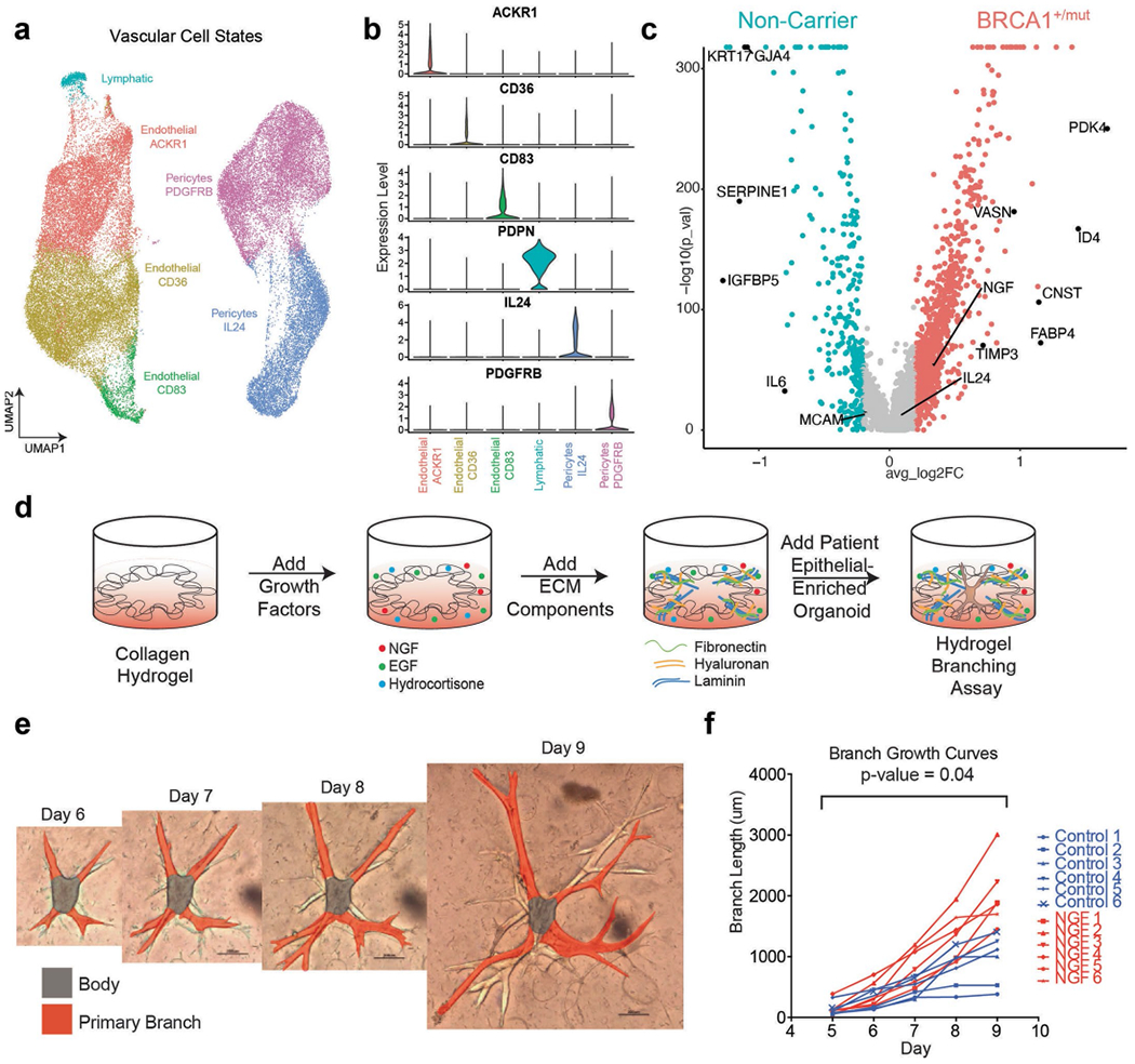 Extended Data Fig. 7 |