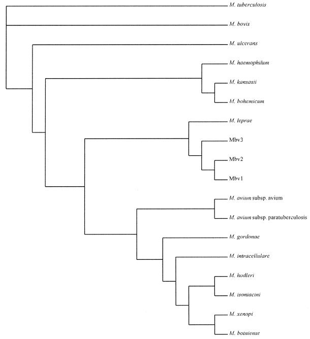 FIG. 3.