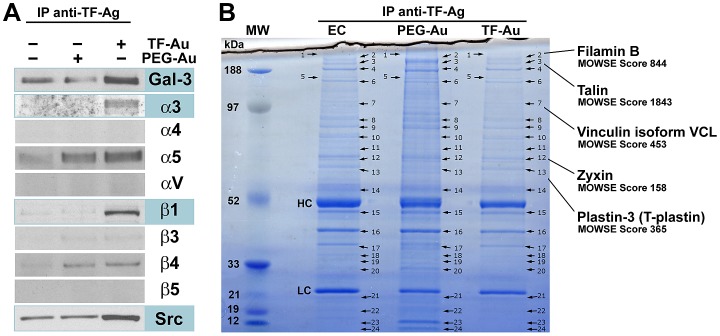 Figure1