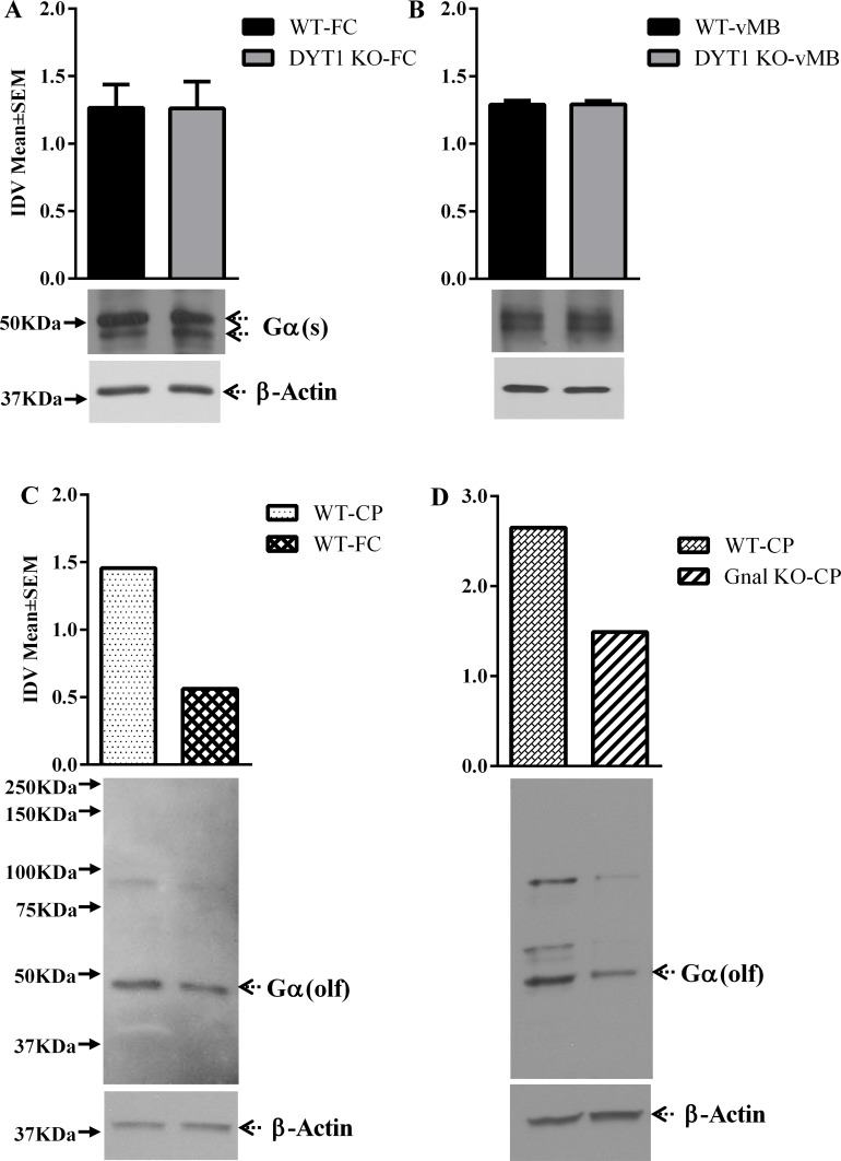 Fig 4