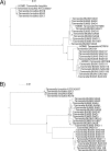 FIG 2