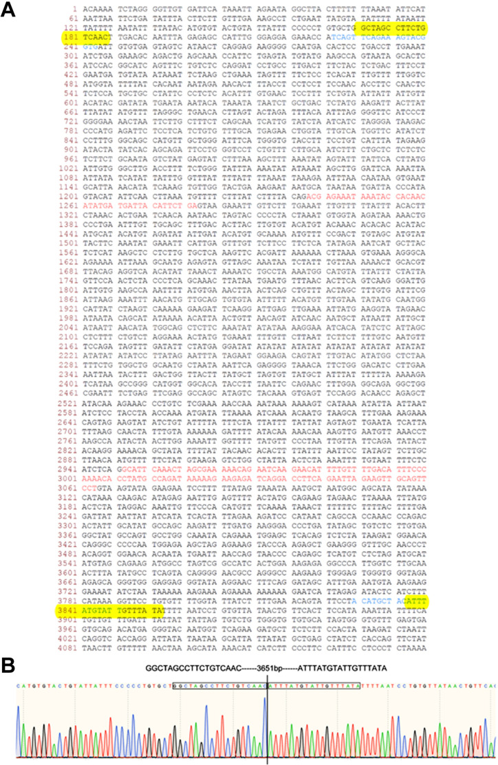 Figure 1—figure supplement 3.