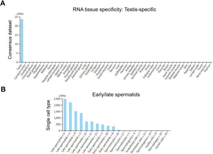 Figure 1—figure supplement 1.