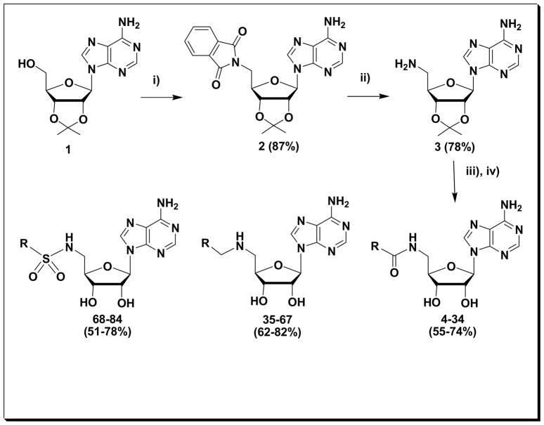 Scheme 1