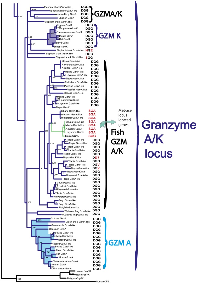 Fig 10