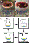 Fig 1:
