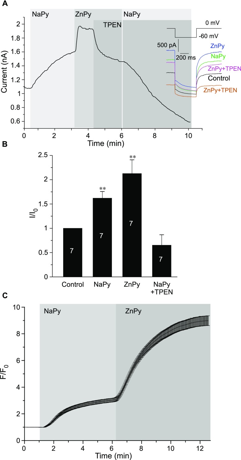 Fig. S3.