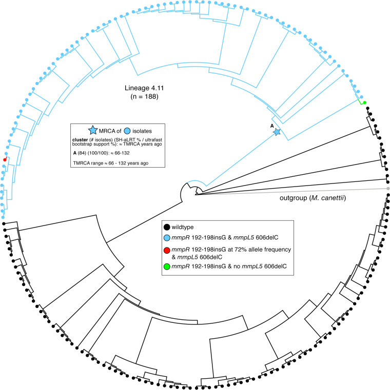 FIG 2