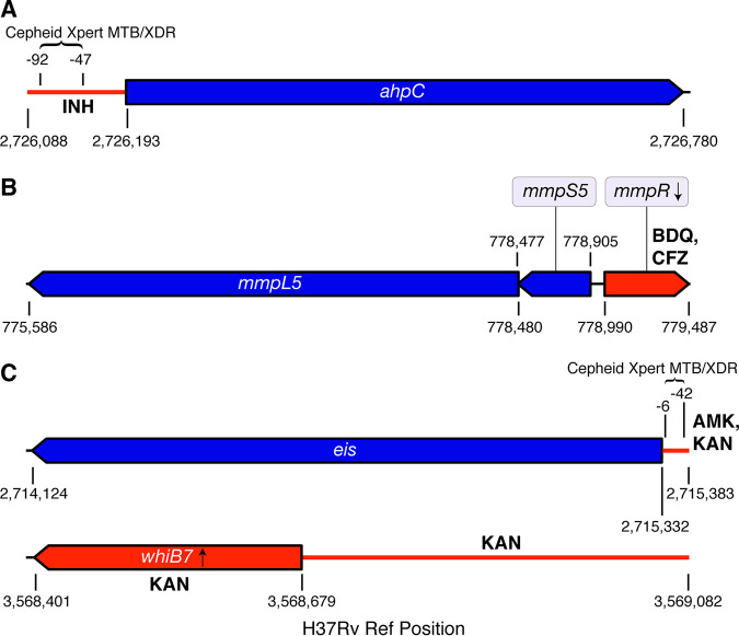 FIG 1