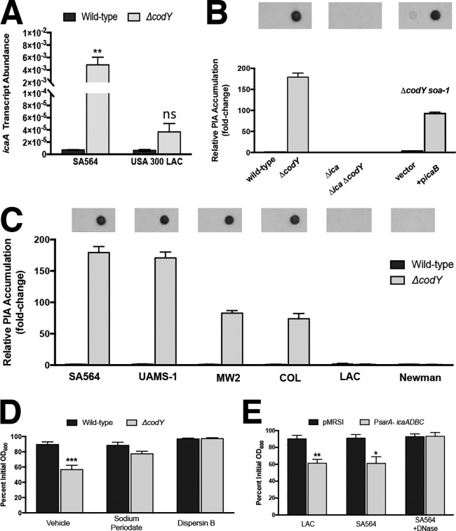 FIG 6